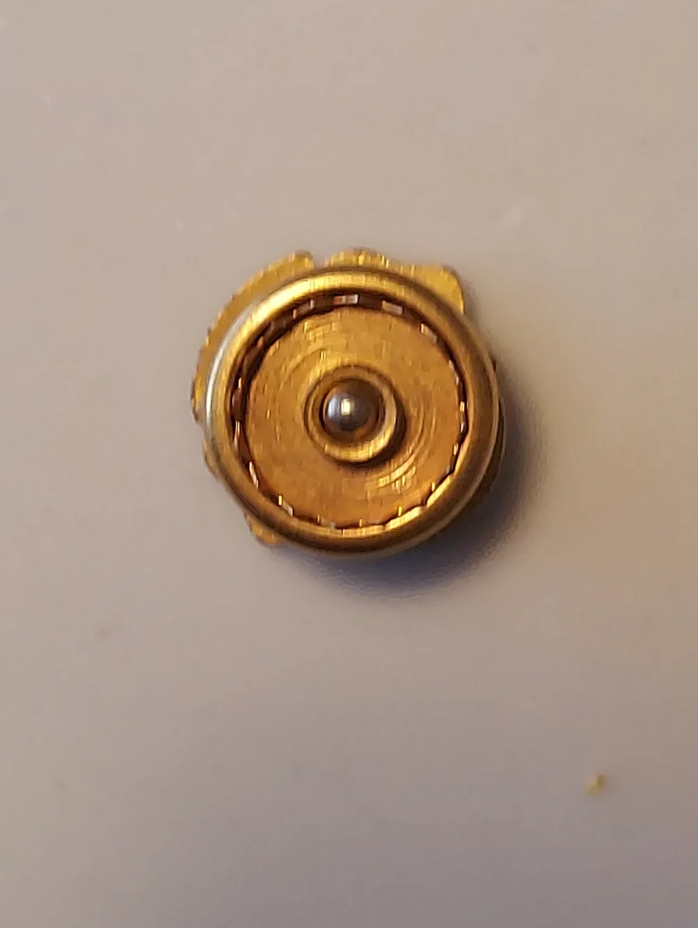 Lions Club International Gold Tone Blue Enamel Screw Back Pin VINTAGE